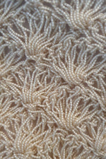 Load image into Gallery viewer, VINTAGE 1950s 1960s Microbeaded Shell Repeat Clutch Bag (M)-The Freperie
